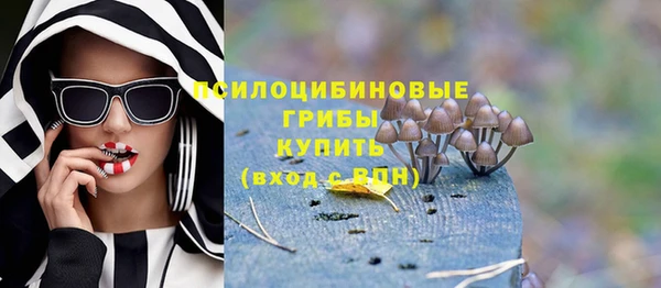 амф Белокуриха