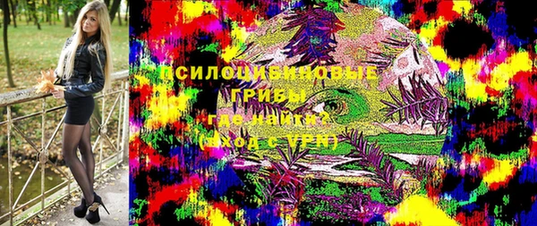 амф Белокуриха