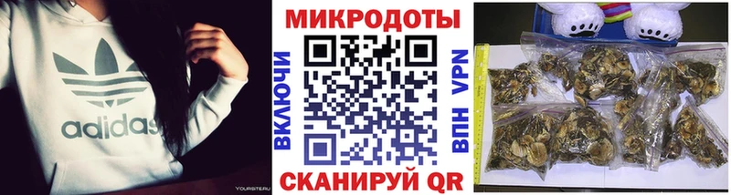 Псилоцибиновые грибы ЛСД  ОМГ ОМГ как зайти  Олёкминск  даркнет сайт 